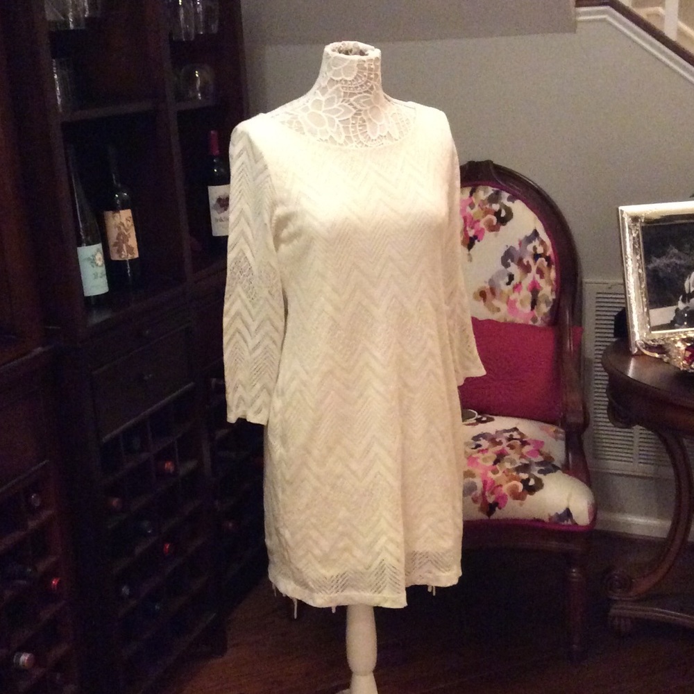 EEUC Banana Republic size 10 white lace dress